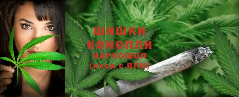 Каннабис OG Kush  Абинск 